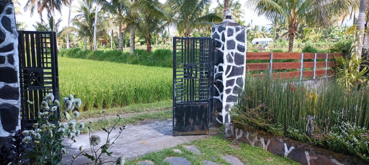 Mysha Guest House-Lombok Tetebatu Exterior photo