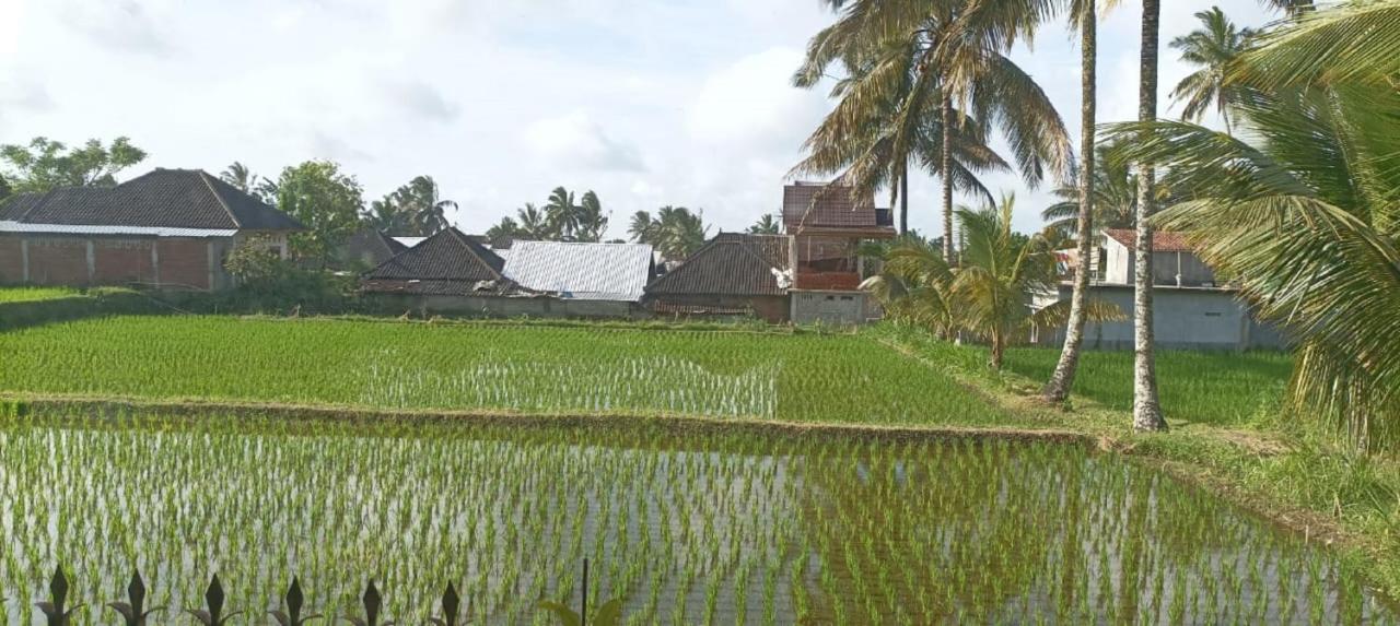 Mysha Guest House-Lombok Tetebatu Exterior photo